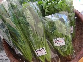 渋谷農園の野菜.jpg